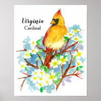 State Bird of Virginia Female Cardinal Watercolor