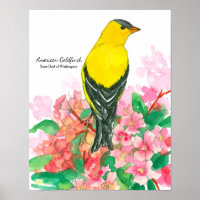 State Bird of Washington American Goldfinch Yellow