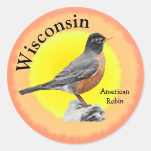 State Bird of Wisconsin Classic Round Sticker