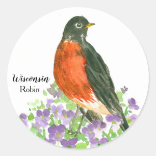 State Bird of Wisconsin Robin Wood Violet Classic Round Sticker