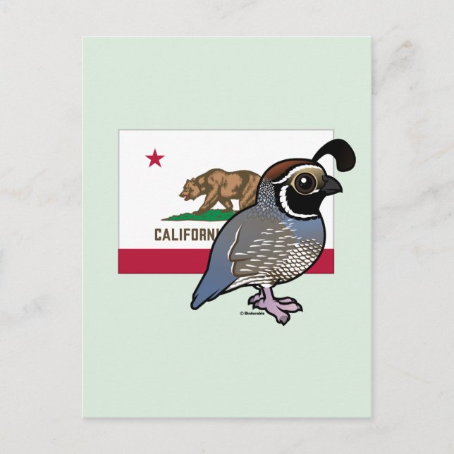 State Birdorable: California Quail Postcard (Front)