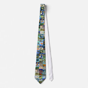 STATE-FISH ART CONTEST TIE2 TIE
