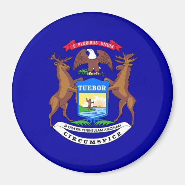 state-flag-Michigan Magnet (Front)