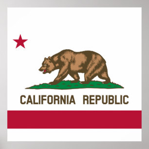 State Flag of California Poster
