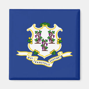 State Flag of Connecticut Magnet
