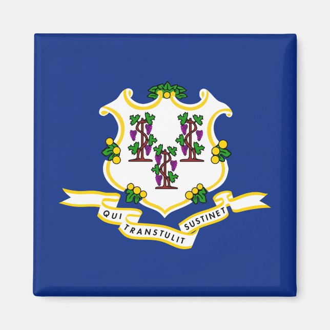 State Flag of Connecticut Magnet (Front)