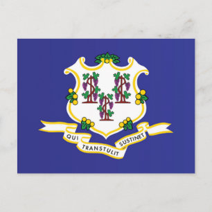 State Flag of Connecticut, USA Postcard