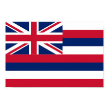 State flag of Hawaii