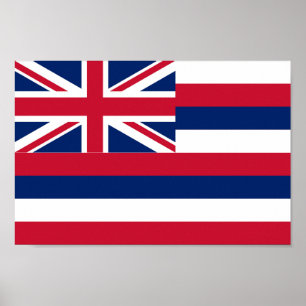 State flag of Hawaii Poster