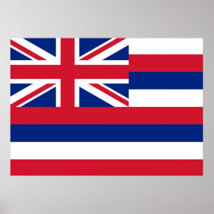 State Flag of Hawaii Poster