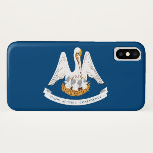 State Flag of Louisiana iPhone X Case