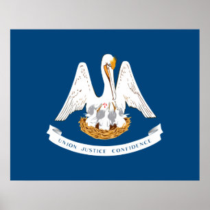 State Flag of Louisiana Poster