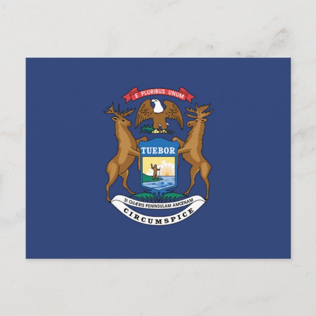 State Flag of Michigan, USA Postcard (Front)