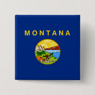 State Flag of Montana 15 Cm Square Badge