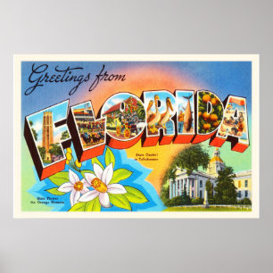 State Florida FL Old Vintage Travel Souvenir Poster