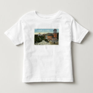 State House and Park Street View from the Mall Toddler T-Shirt