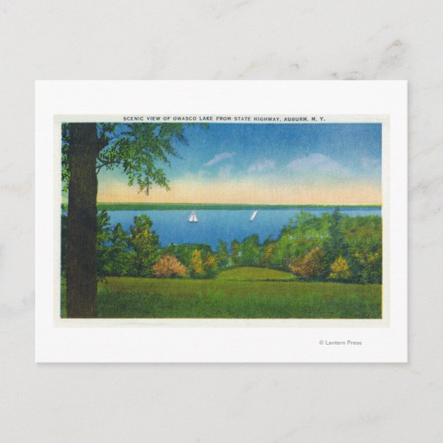 State Hwy Scenic View of Owasco Lake Postcard (Front)