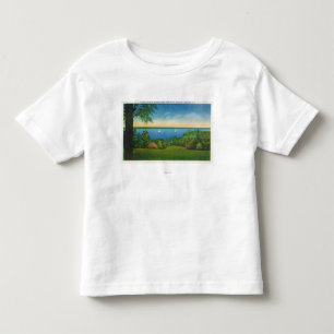 State Hwy Scenic View of Owasco Lake Toddler T-Shirt