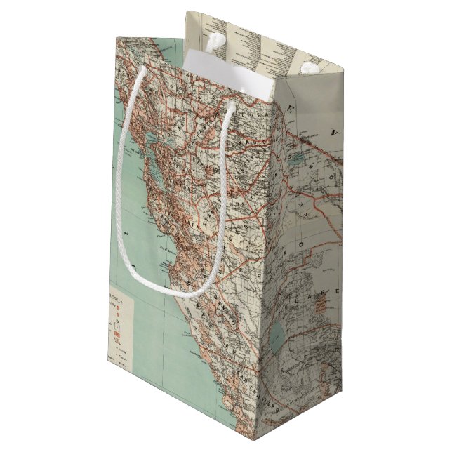 State of California 2 Small Gift Bag (Back Angled)