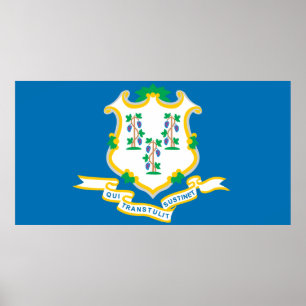 State of Connecticut flag Poster