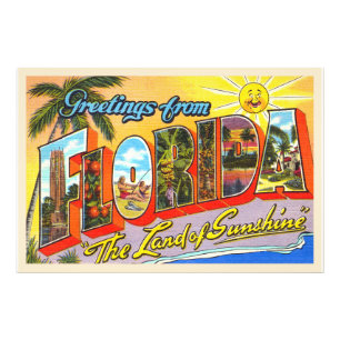 State of Florida FL Vintage Large Letter Postcard Photo Print