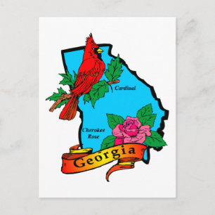 State of Georgia Gifts and Tees for Kids, Adults Postcard