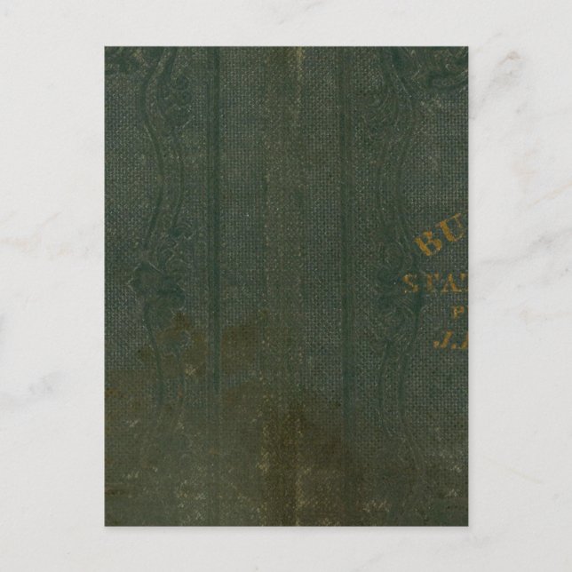 State of New York by DH Burr 2 Postcard (Front)