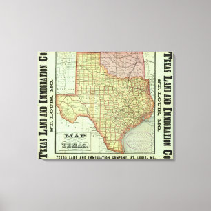 State of Texas Canvas Print