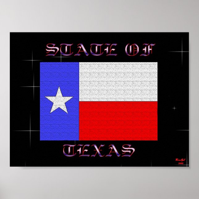 State Of Texas Poster (Front)