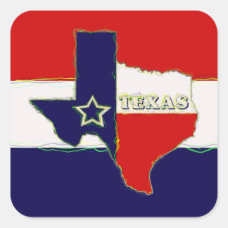 STATE OF TEXAS SQUARE STICKER