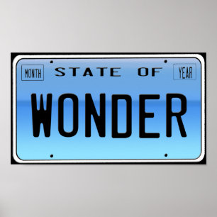 State of Wonder Poster