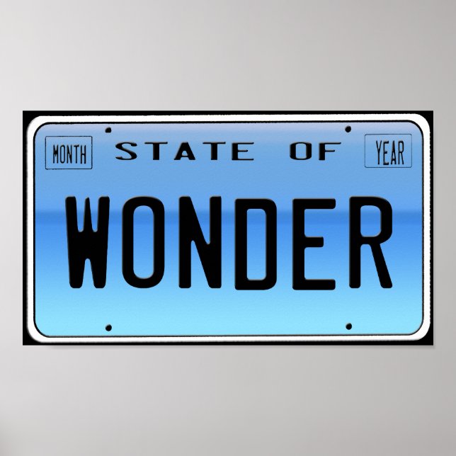 State of Wonder Poster (Front)