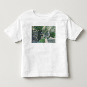 State Park Entrance Tunnel and Sentry Bridge Toddler T-Shirt