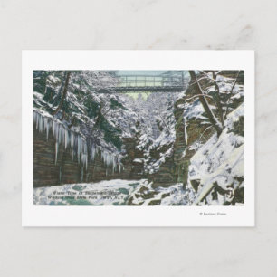 State Park Gorge Suspension Bridge View in Postcard