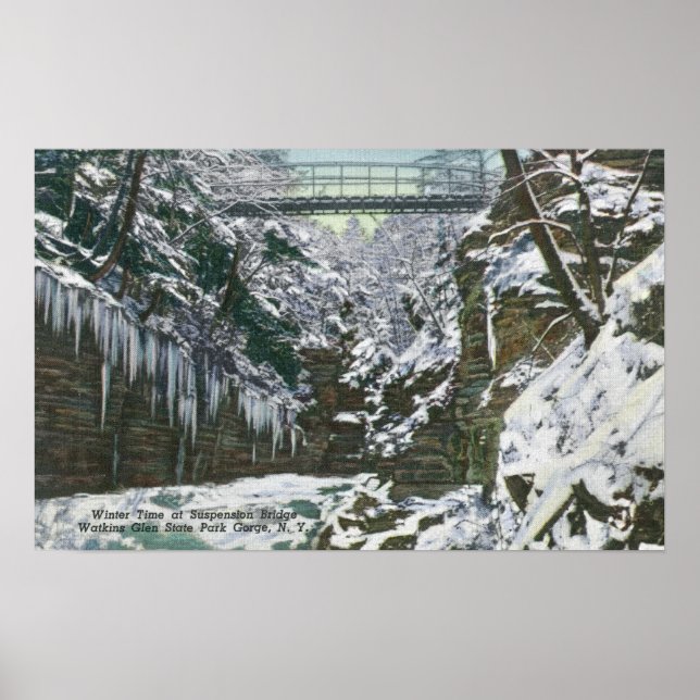 State Park Gorge Suspension Bridge View in Poster (Front)