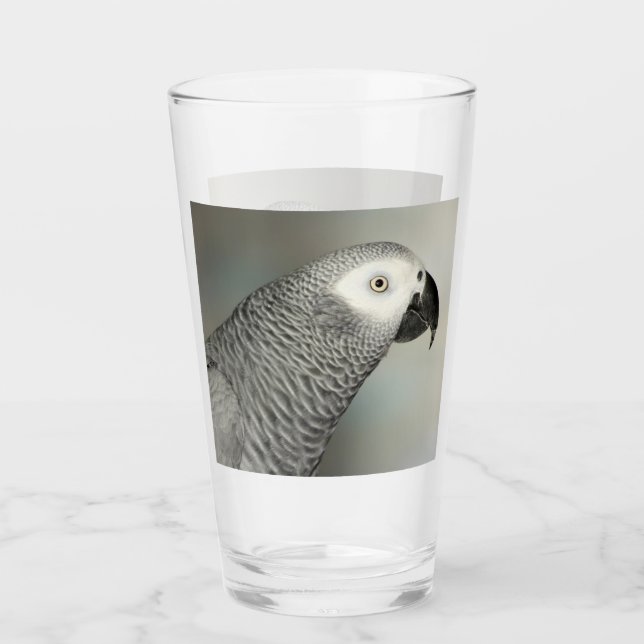 Stately African Grey Parrot Glass (Front)
