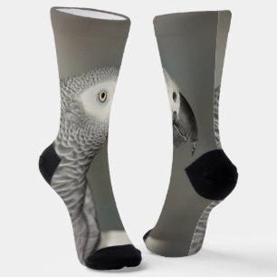 Stately African Grey Parrot Socks