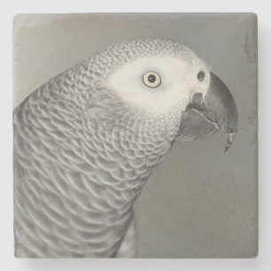 Stately African Grey Parrot Stone Coaster