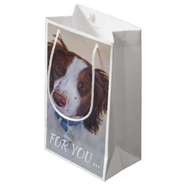 STATELY AUBURN SETTER MIX SMALL GIFT BAG (Front Angled)