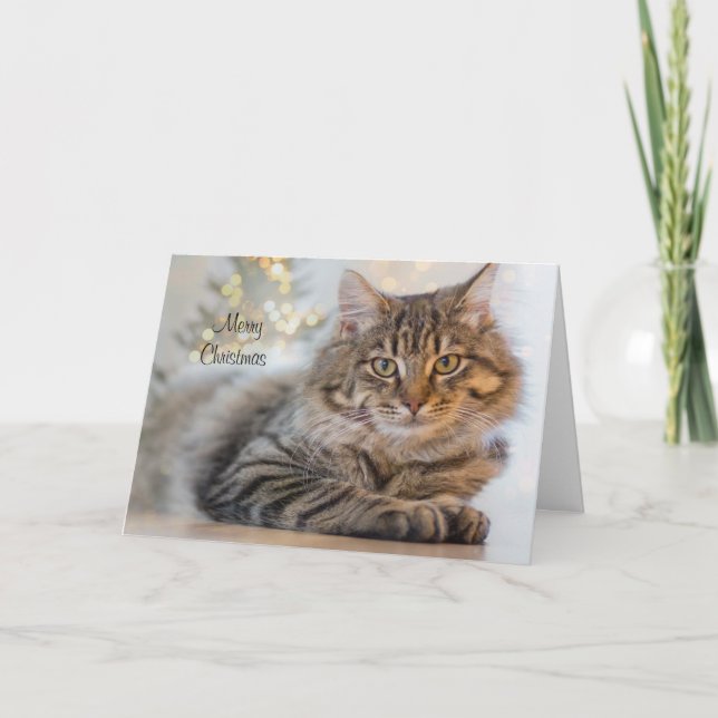 Stately Cat Personalised Pet Christmas Card (Front)