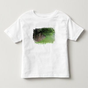 Stately row of trees, Louisville, Kentucky. Toddler T-Shirt