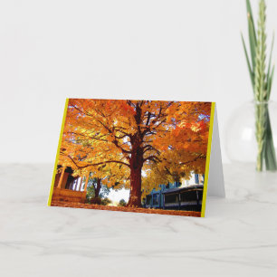 Stately Tree Autumn Tree Colours Card