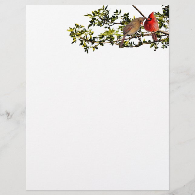 Stationary Cardinals Custom Letterhead (Front)