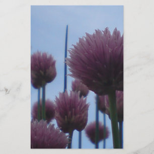 Stationery - Chives Image 1