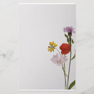 Stationery colorful flowers