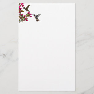 Stationery hummingbirds