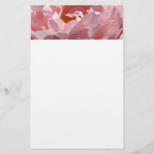 STATIONERY PINK Sunlit Rose Gift Daughters Moms