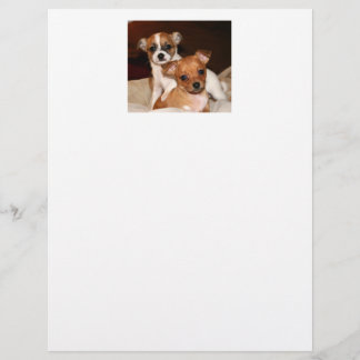 Stationery, Two Adorable Puppies