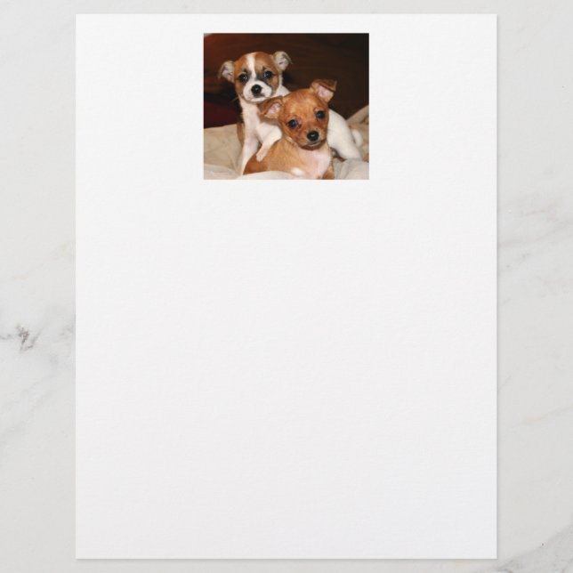 Stationery, Two Adorable Puppies (Front)