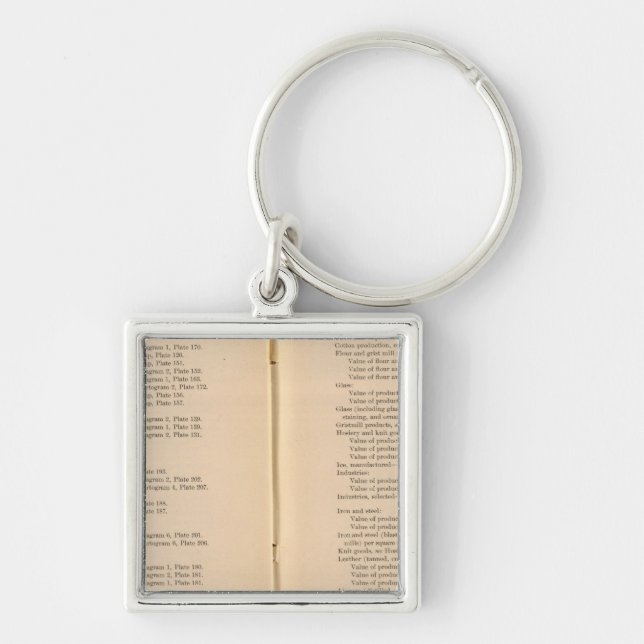 Statistical atlas 1900 9 key ring (Front)